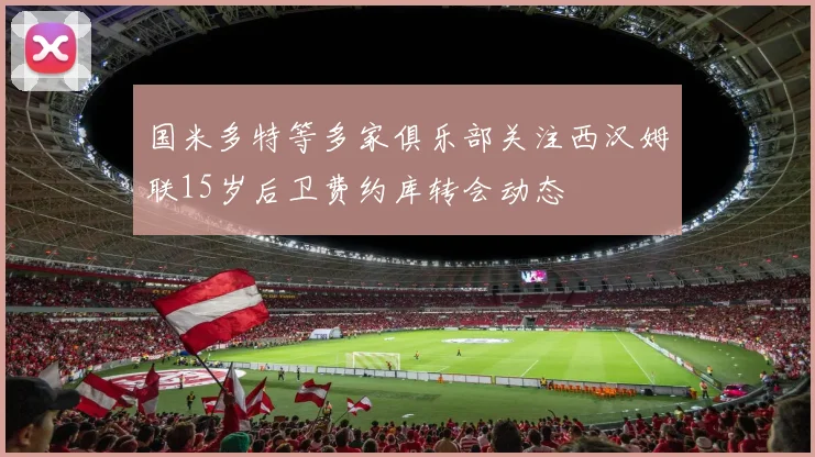 国米多特等多家俱乐部关注西汉姆联15岁后卫费约库转会动态