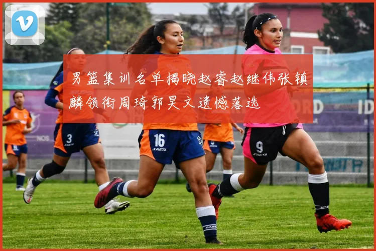 男篮集训名单揭晓赵睿赵继伟张镇麟领衔周琦郭昊文遗憾落选