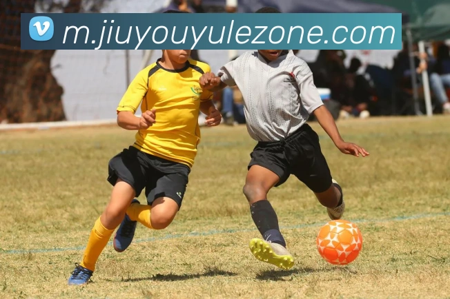 App Interface Preview